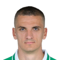 N. Cvetković
