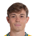 L. Amatucci