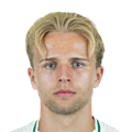 P. Müller