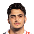 M. Hekimoğlu