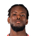 Y. Nahounou