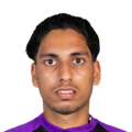 N. Naik