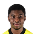 M. Diallo