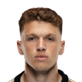 Henrique Arreiol