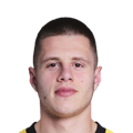 N. Čelik