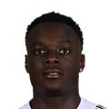 A. Oluwabori