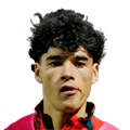 Afonso Assis