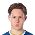 M. Persson