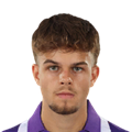 P. Dulcea