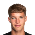 D. Klein