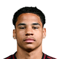 N. Fernandez