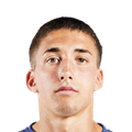 N. Barros Schelotto