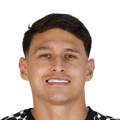 N. Da Silva