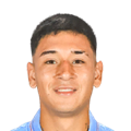 N. Garrido