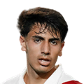 L. Silva