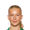 L. van Bemmel