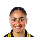 N. Akgün