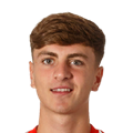 A. Wellens