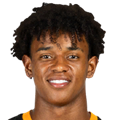 Bruninho