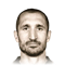 G. Chiellini