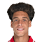 A. Witsel