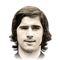 G. Müller