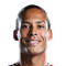 V. van Dijk