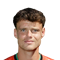 V. van Crooij