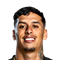 J. Trindade