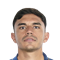V. Pizarro