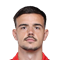 N. Milanović