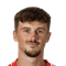 C. Wellens