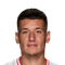 D. Redzic