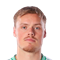 V. Eriksson