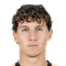 S. Ostrzinski