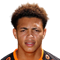 D. Johnson