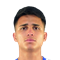 J. del Castillo
