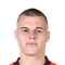 J. Vidić