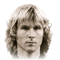 P. Nedvěd