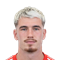 N. Radaelli
