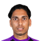 N. Naik