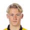 R. Leandersson
