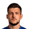 N. Galešić