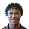D. Karim