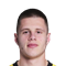 N. Čelik