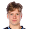 V. Svensson