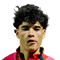 Afonso Assis