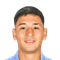 N. Garrido