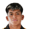 D. Pereira
