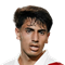L. Silva